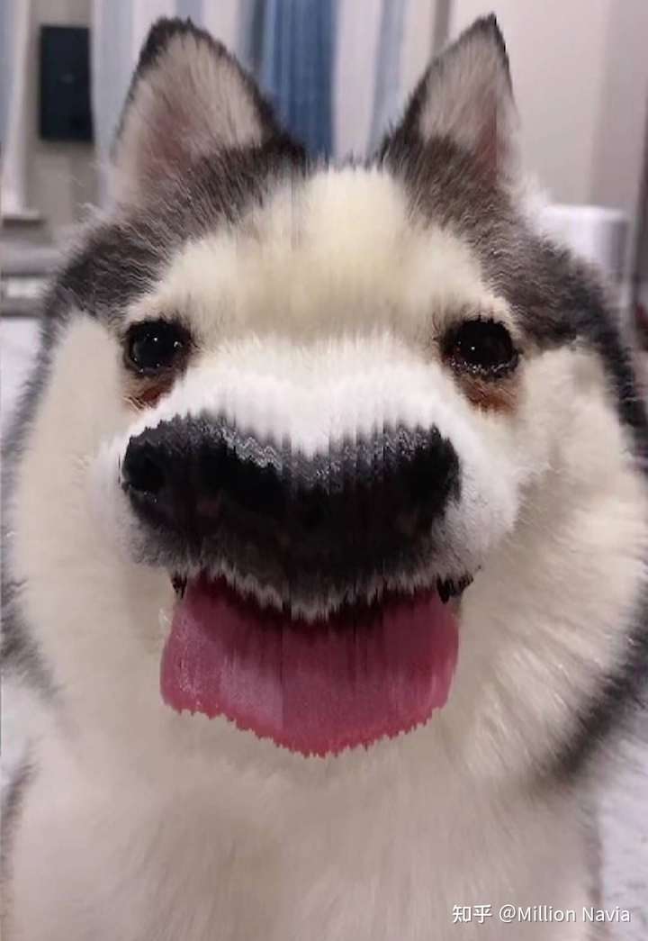 可以推荐150左右的小众项链吗? - 知乎