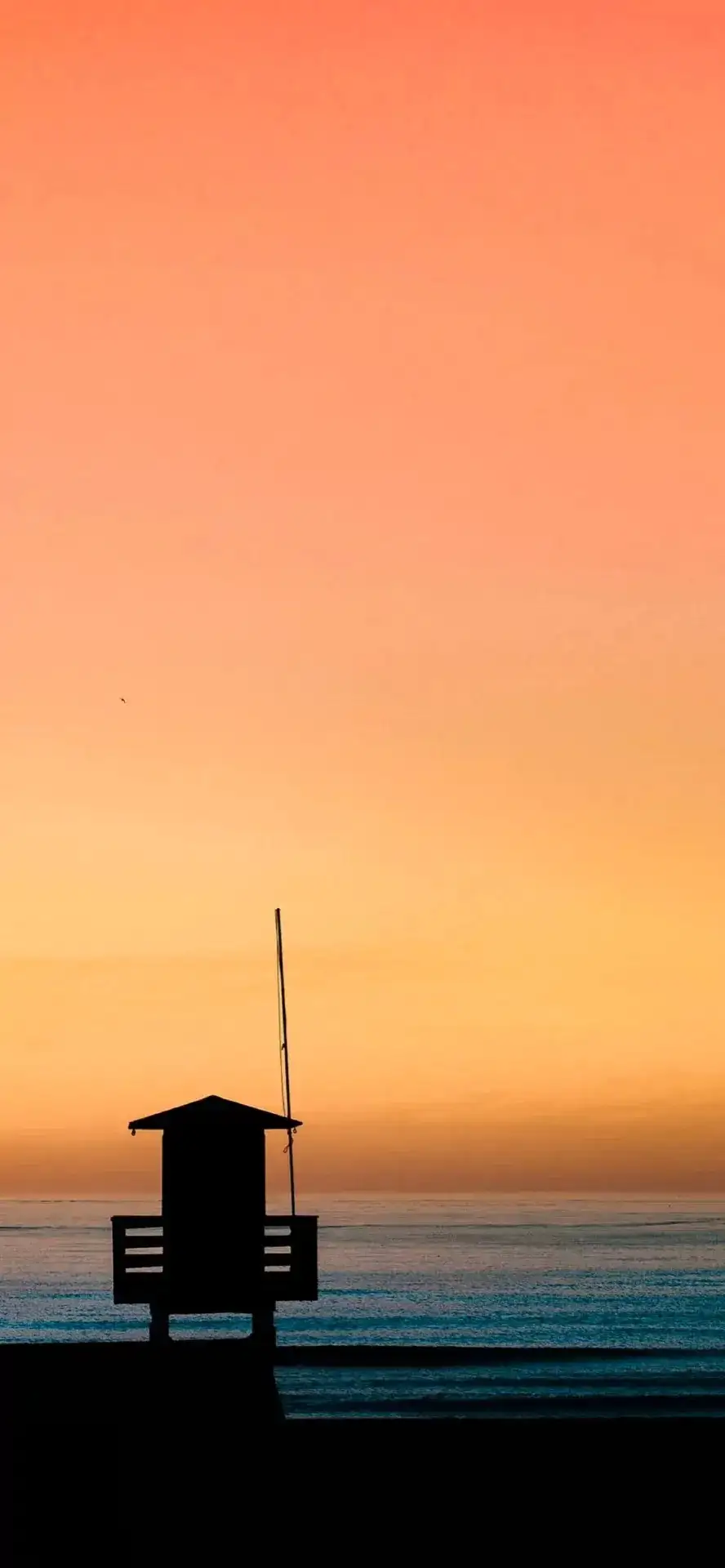 私藏手机壁纸 高级感 可爱卡通 知乎