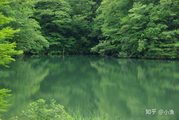 看日本 日本历史遗迹 白神山地山脉 知乎