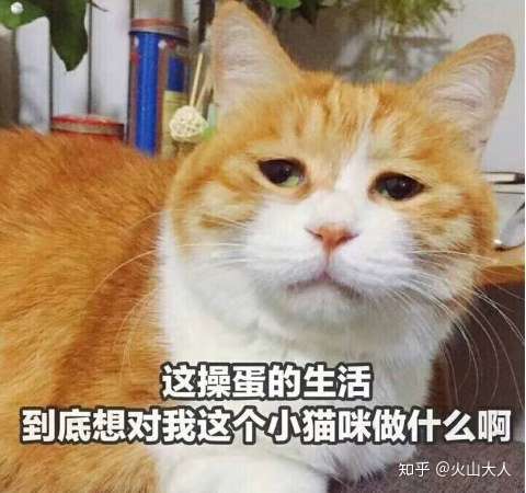 排卵痛是正在排卵吗 知乎