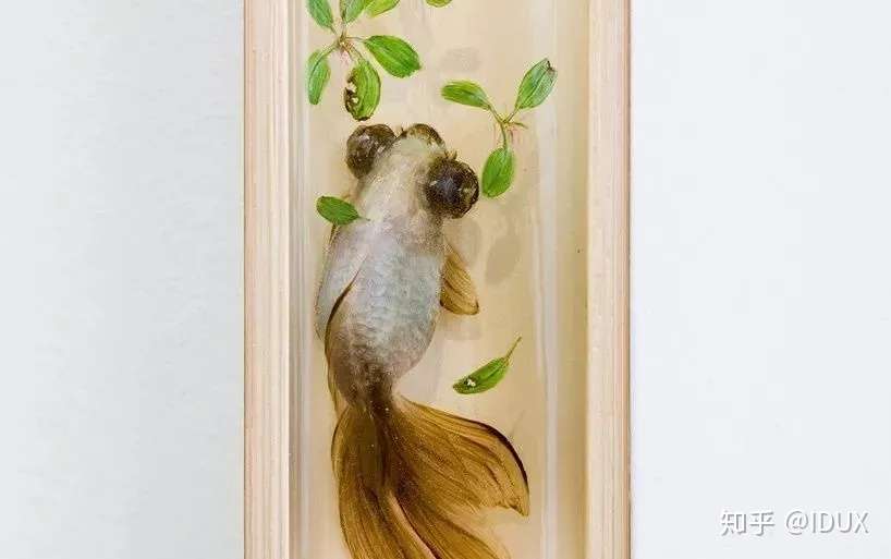 这个 变态 的日本人画了12年的金鱼 把金鱼画活了 知乎