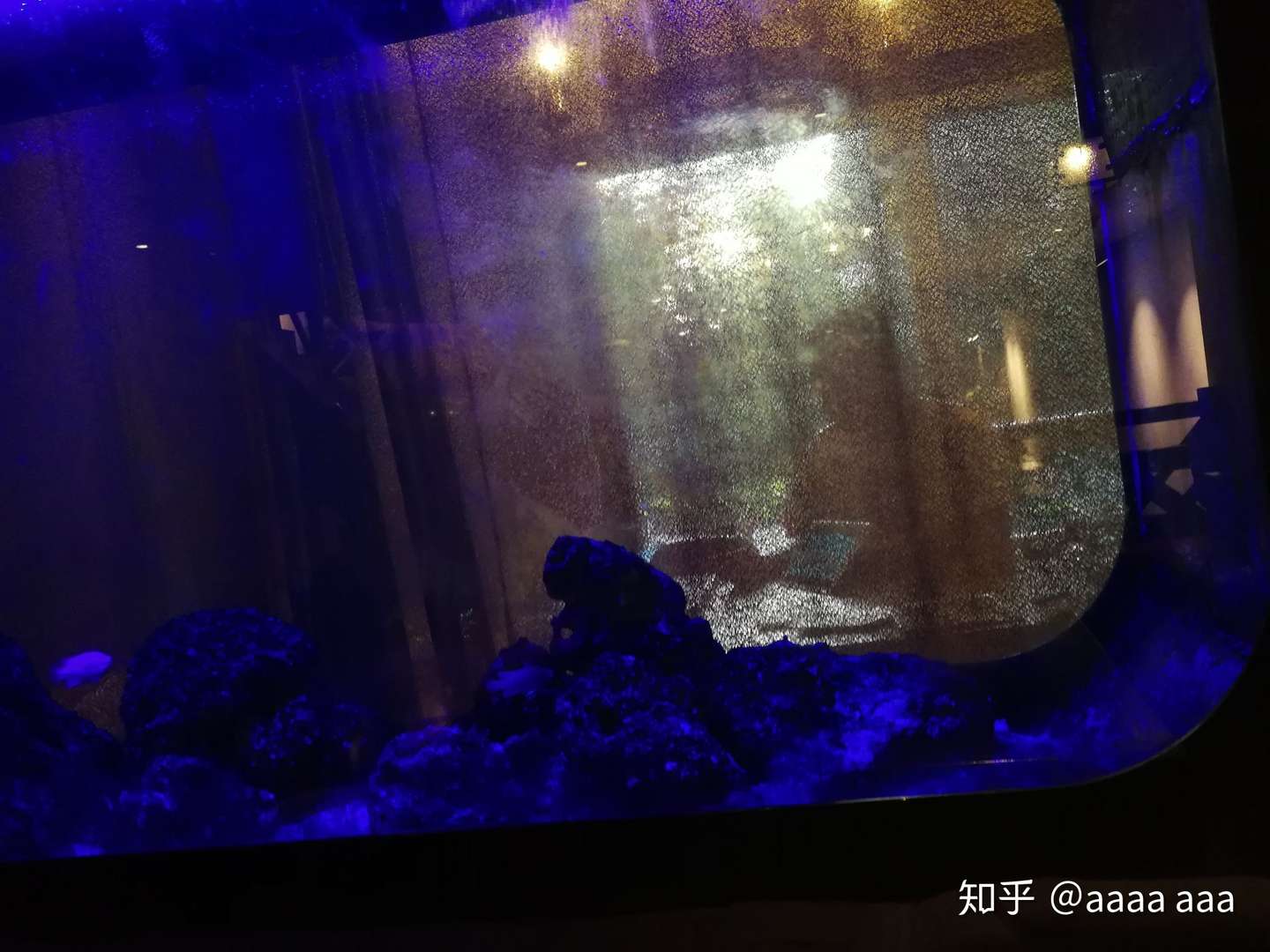 大福宝宝的英语私教 知乎