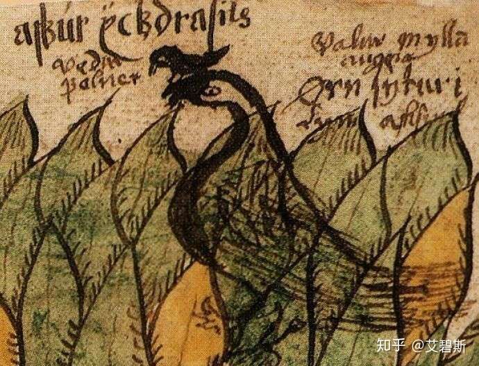 龙族中昂热的真实身份,是正是邪? - 知乎