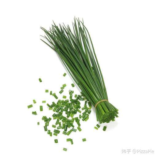 chiveleekscallionshallot有什么区别