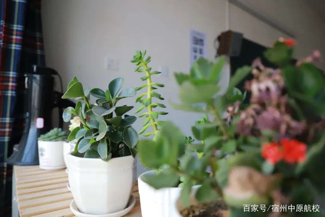 全国爱眼日 共同呵护眼睛健康 中原航校er一起绽放 睛 彩 知乎