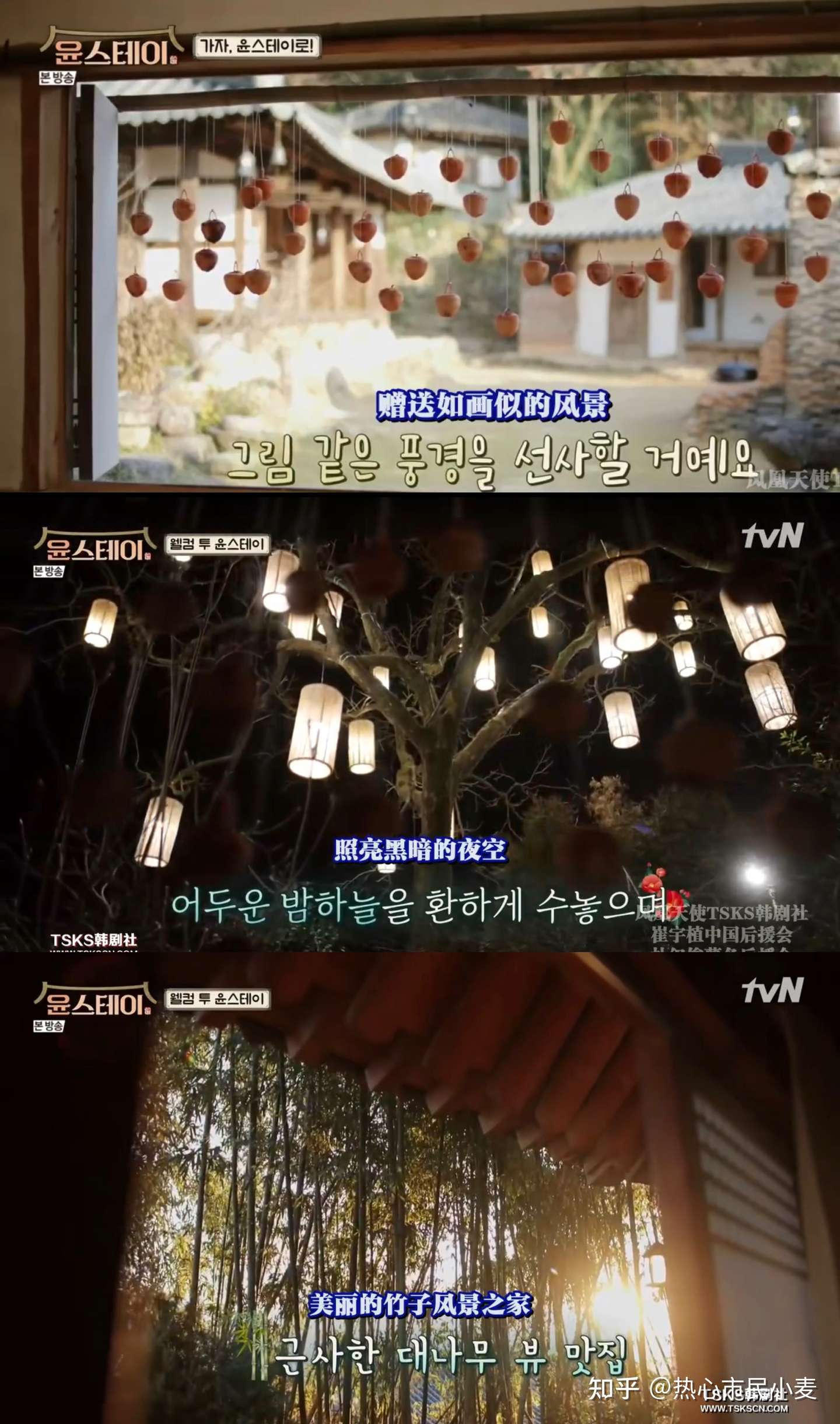 这个冬天不能错过的治愈综艺 知乎