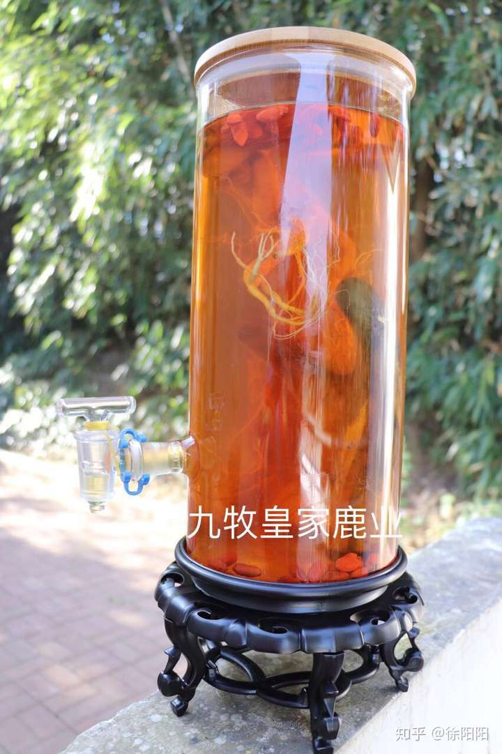 鹿茸泡酒會溶解嗎?