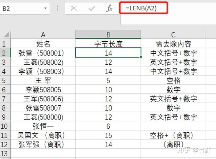 Excel巧用lenb函数判断 去除其他格式数据 知乎