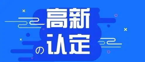 徐州申请高新技术企业其他区域省区政府补贴多少（徐州高新企业优惠政策） 第3张