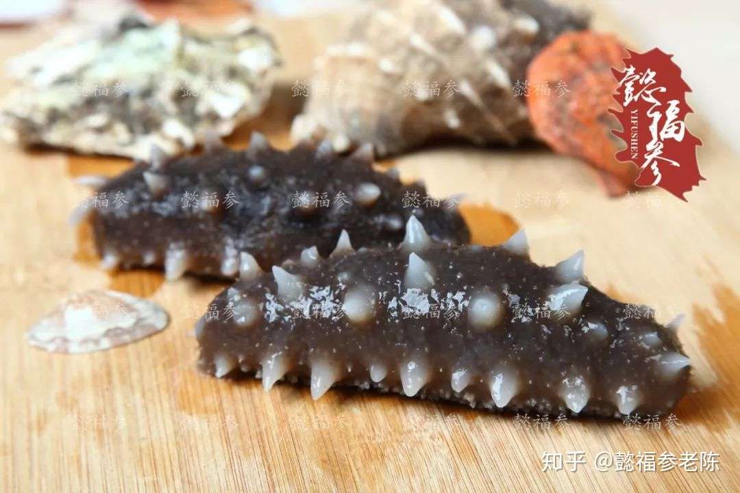 为什么让女人要吃海参 别怪我没告诉你 知乎