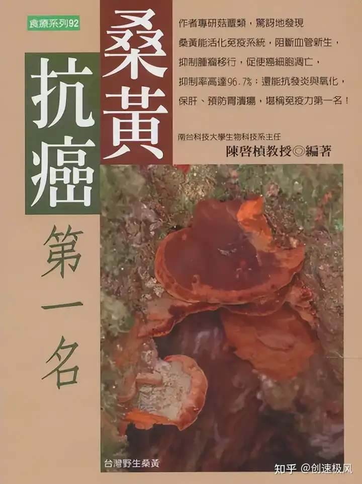 被称为“森林黄金”的桑黄，究竟是如何形成的？值不值千元一斤？（桑黄是什么树生长出来）