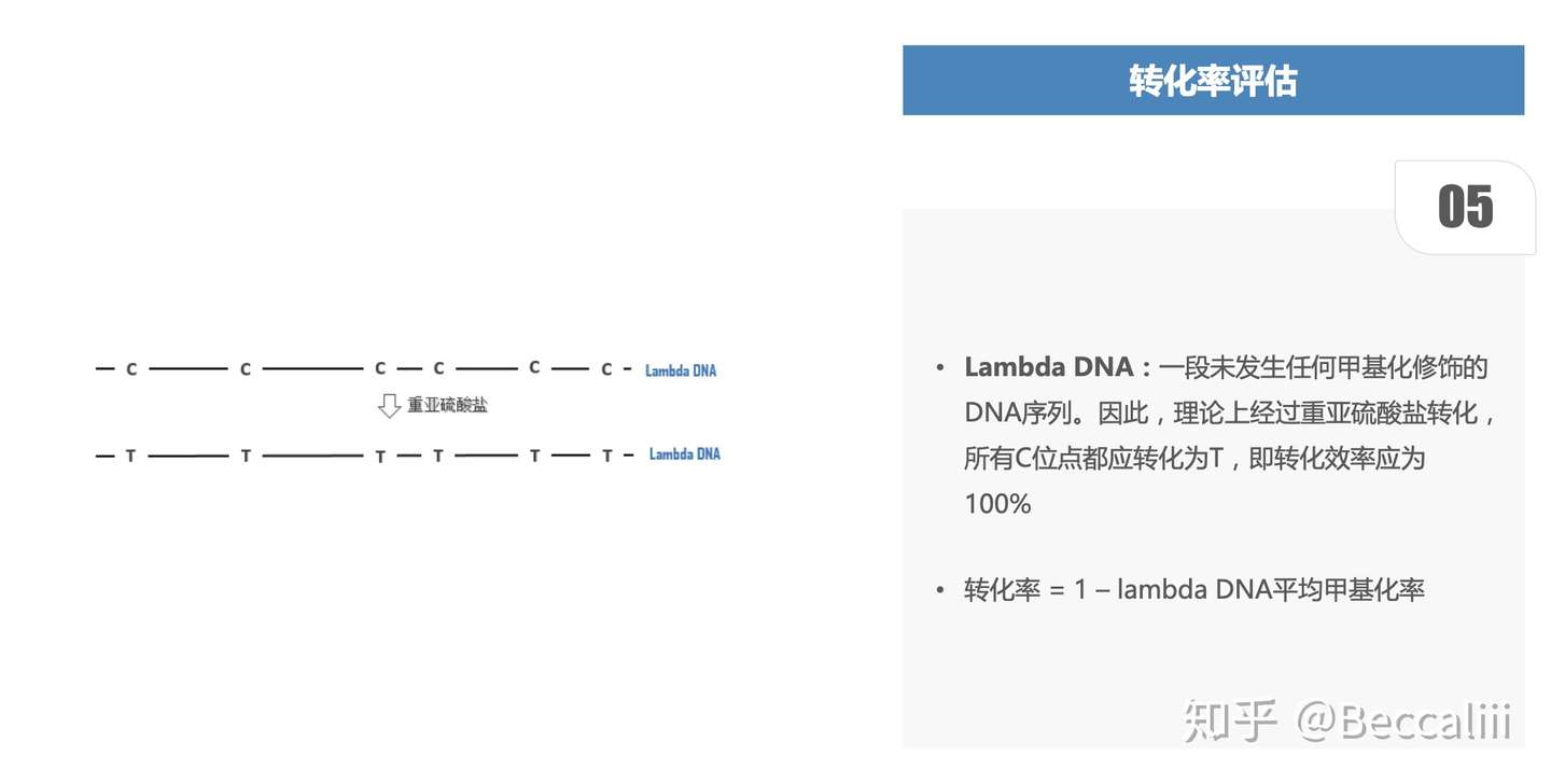 表观组学 甲基化分析 知乎