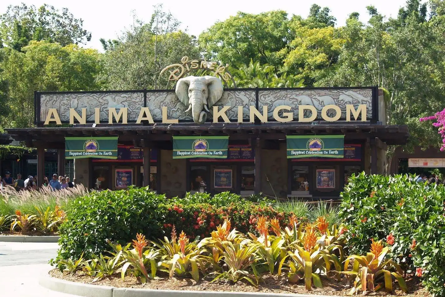 奥兰多景点攻略：迪士尼动物王国(Disney's Animal Kingdom Theme Park