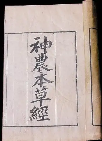 金门记课堂竹汁为什么被称为神水