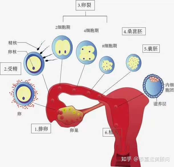 zhuanlan.zhihu.com