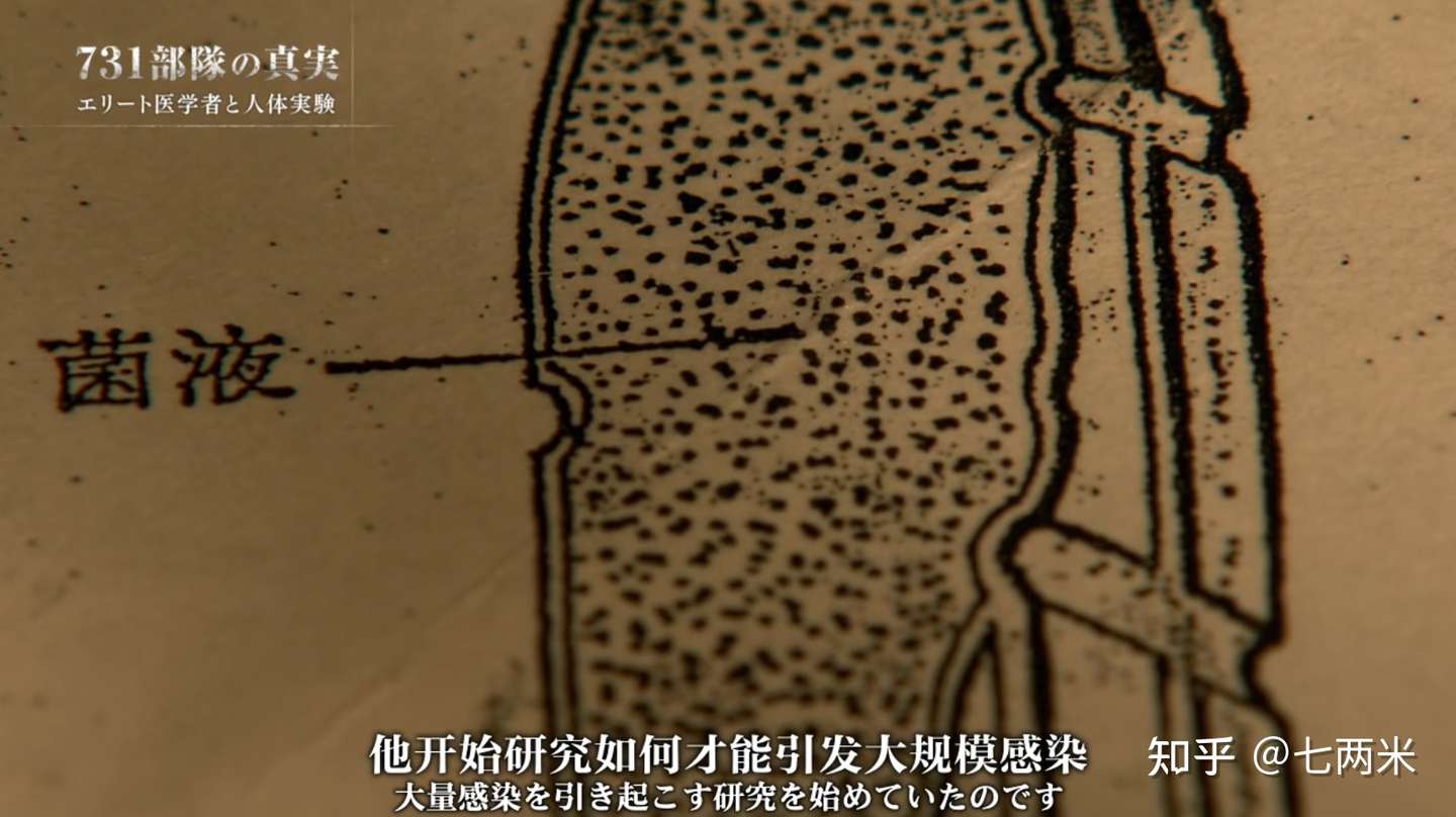 731部队的真相 顶尖医学家与人体实验 观后感 知乎