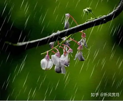 春雨生活不止有詩和遠方,還有你追尋的文案微時光文案館