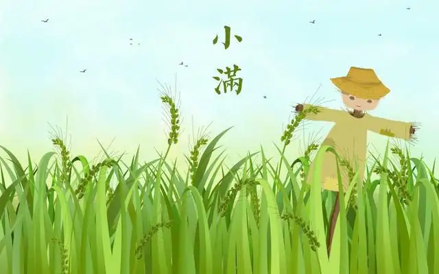 二十四节气之小满，你了解吗？