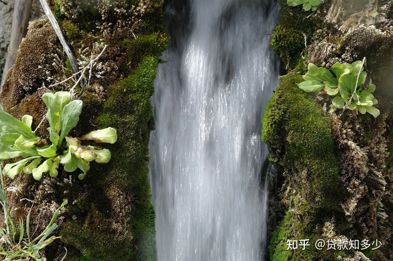 银行流水知多少 知乎