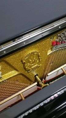 新买的恺撒堡kn1,刚到家,还未调律,弹起来嗡嗡声很大,正常吗?