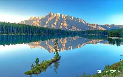 上海试管婴儿排名第一（真没想到）