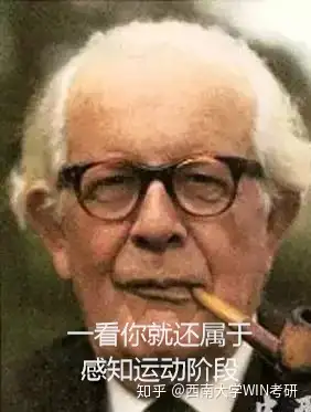 皮亚杰对心理学最重要的贡献,是他把弗洛伊德的那种随意,缺乏系统性的