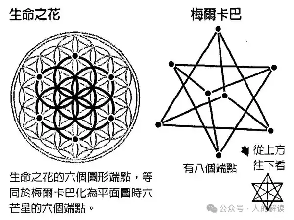 神奇的松果体，奥秘远超想象-人的解读