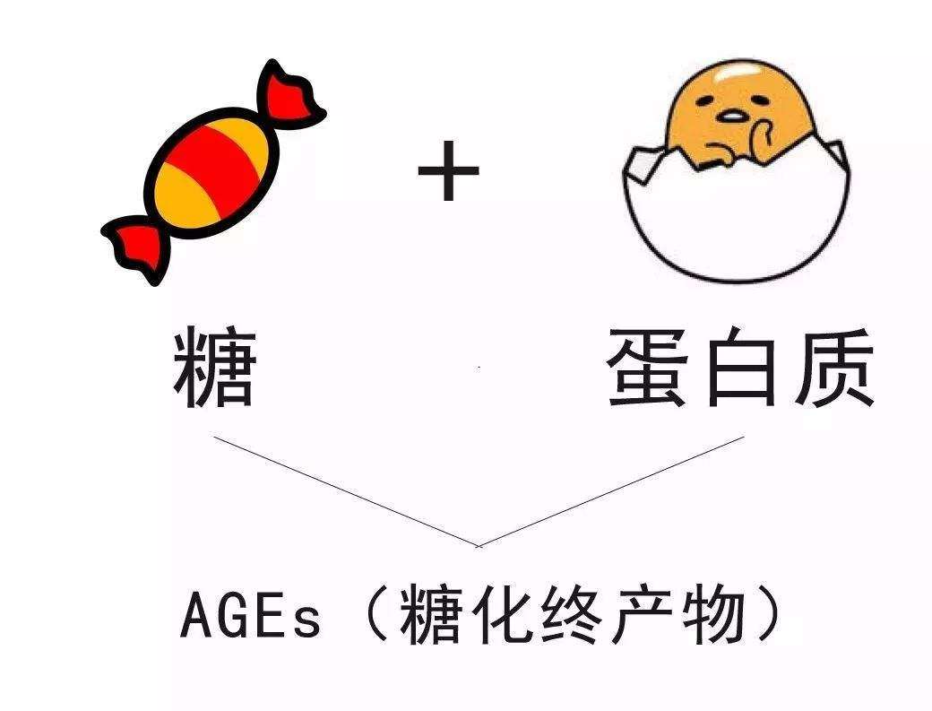 抗糖化是什么 知乎