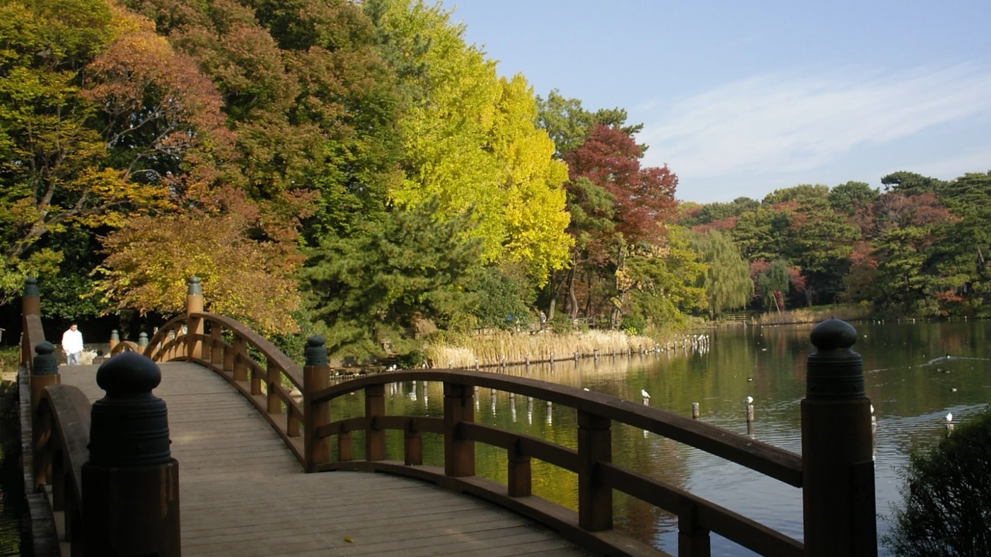 抵达机场就开始旅游了 你不知道的东京好去处 知乎
