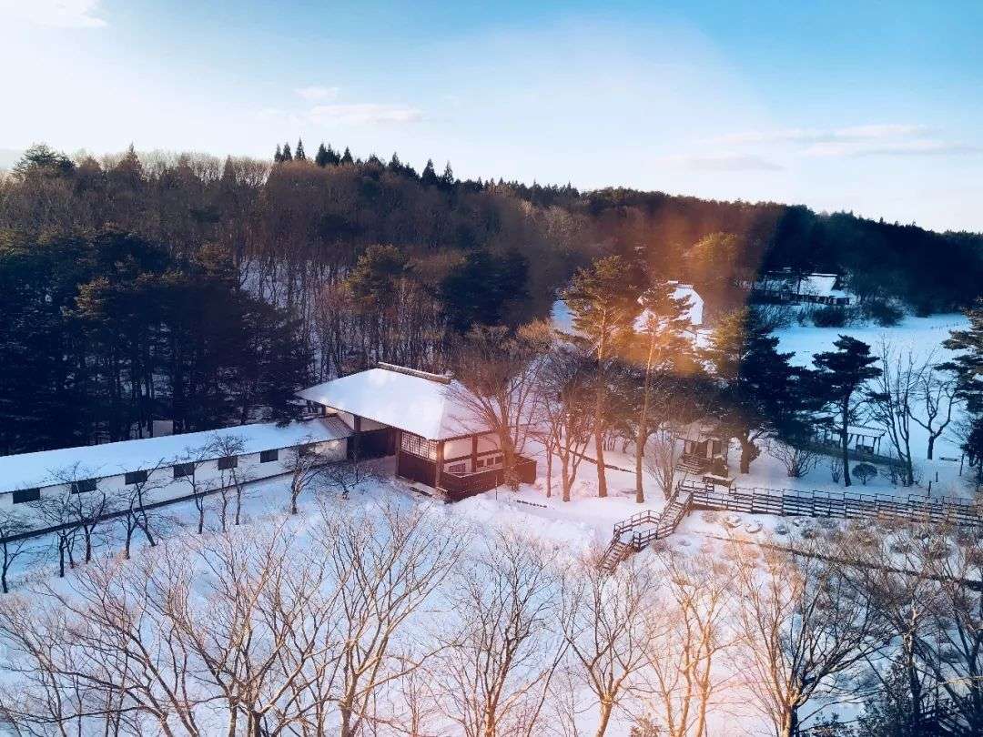 星野青森屋 比北海道更浪漫的雪国之旅 知乎