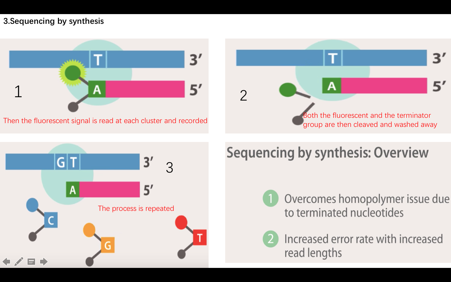 Ngs Sequencing By Synthesis 知乎