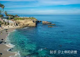 ucsdtritons这份生存指南你需要了解一下