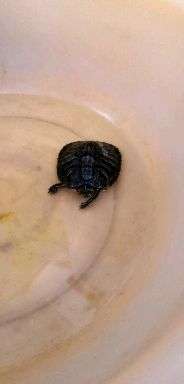 v2-8f0940509a09a34166b4c370415c6177_bh.jpg?source=1940ef5c