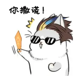 实话实说最重要了,美签申请别藏着掖着