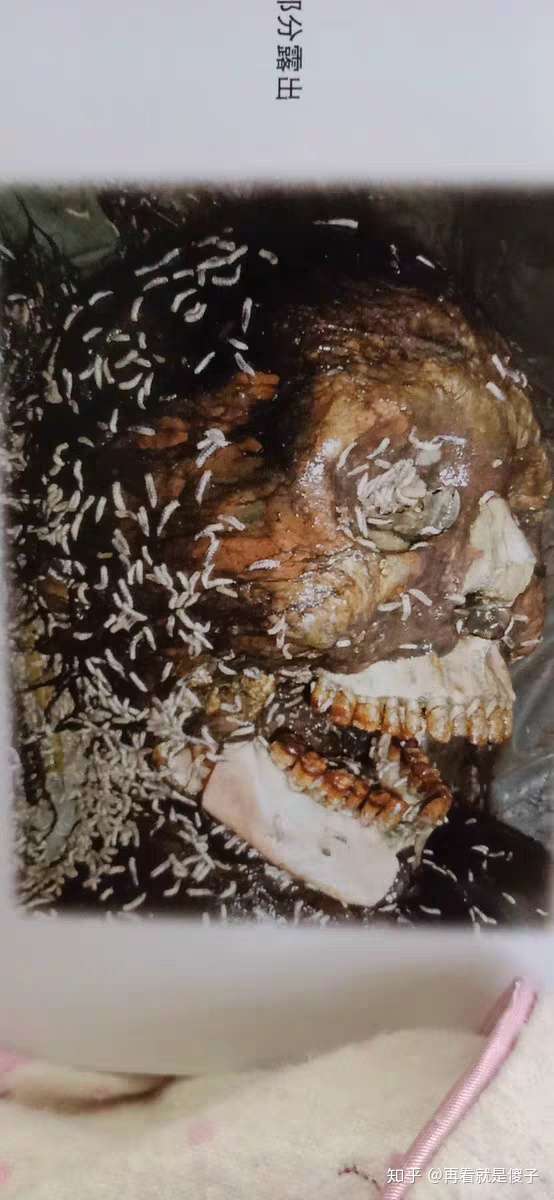 大家有没有看过什么非常恶心人的文学作品?