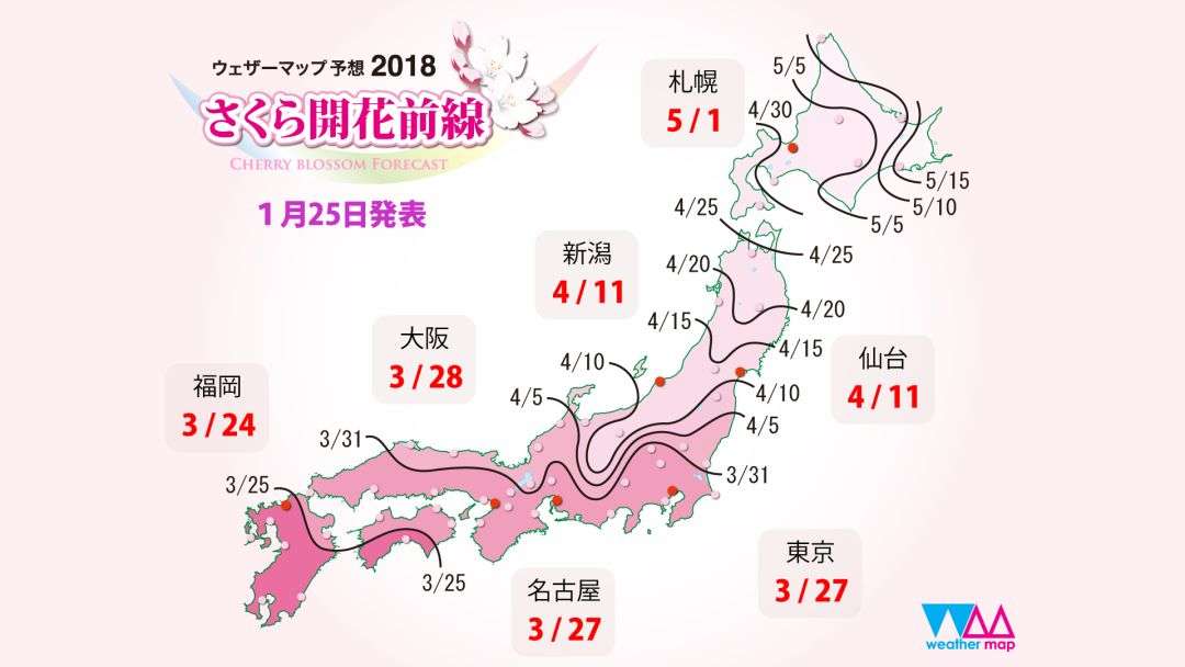 想去日本看樱花 但是五月才有假 知乎