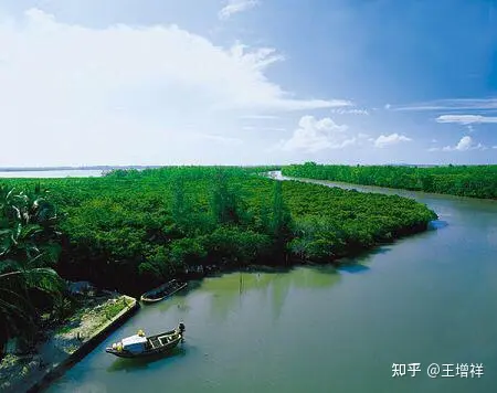 中国最美的100个地方——东寨港（50）插图8
