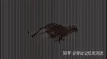 光栅动画包装