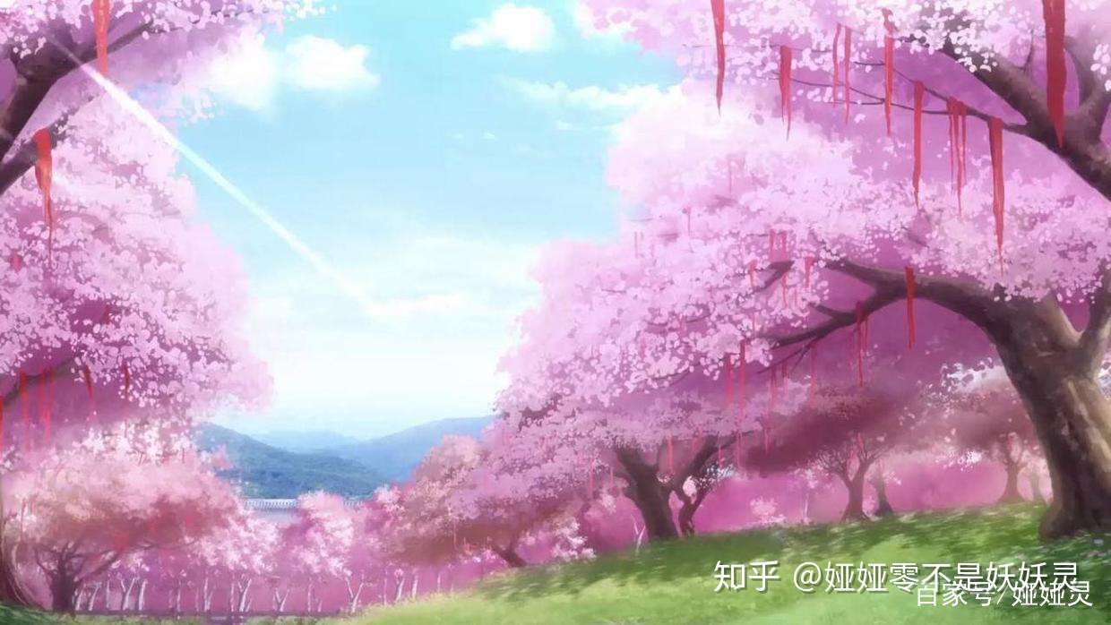 你知道花朝节吗 冷处理背后 是传统节日被遗忘的无奈 知乎