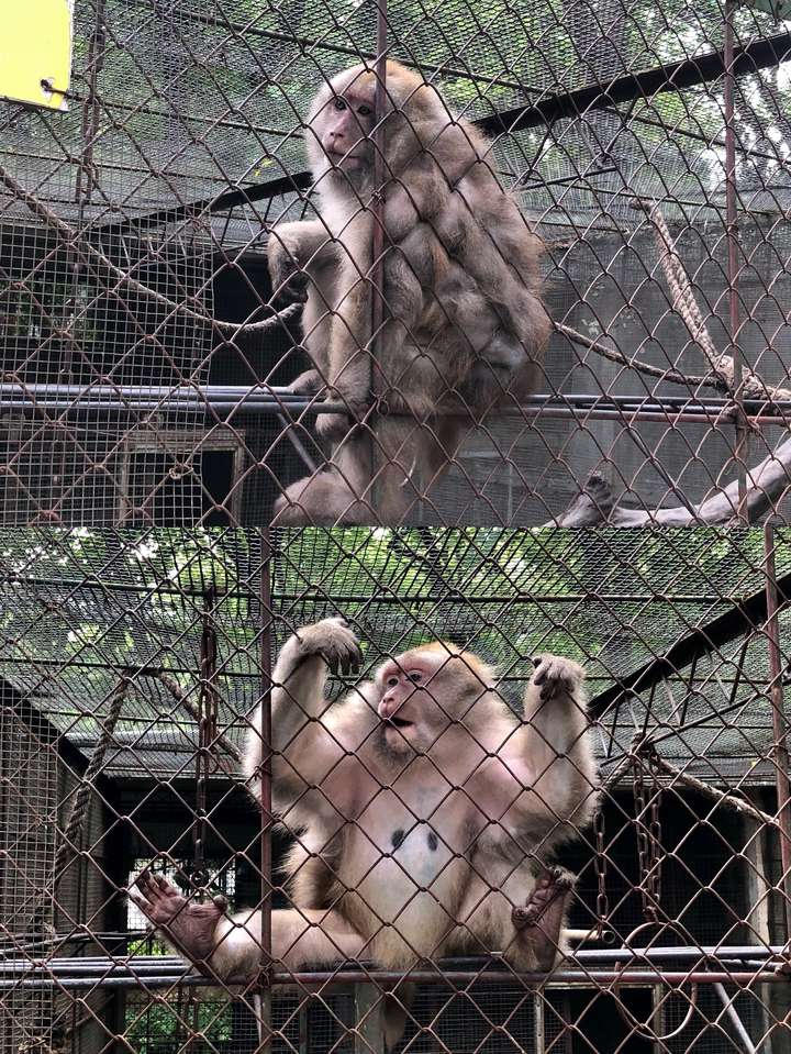 打卡南寧動物園