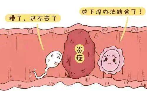 21个促排卵相关问题!插图(2) v2-901fd8bc010dfce32bee7da2b49384dd_720w.jpg插图(2)