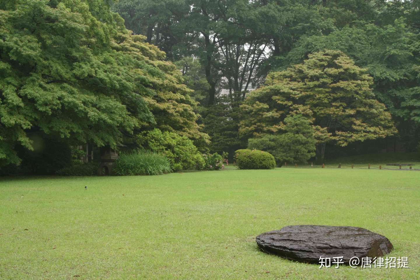 日本庭園的技术与内心情感 二 植栽术 知乎