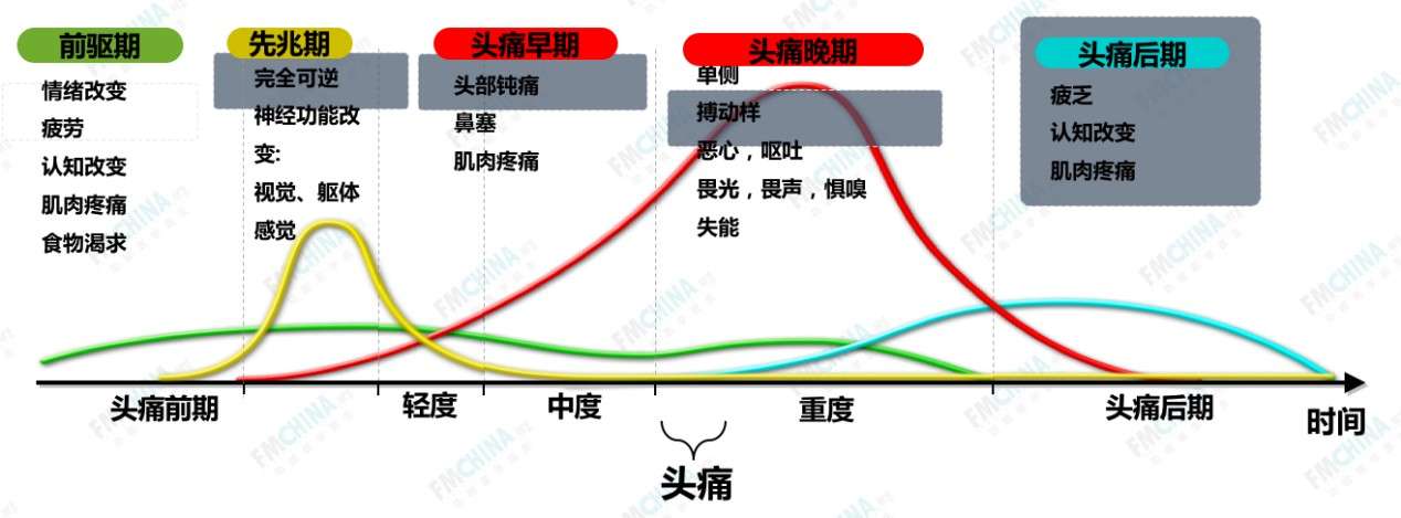 功能医学专业分享 偏头痛的病因及生理功能失衡 知乎