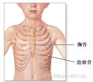 战荷耐吼见级缘(图2)