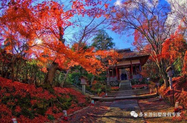 ダウンロード済み 11月京都紅葉 ユニバスヌーピーカチューシャ