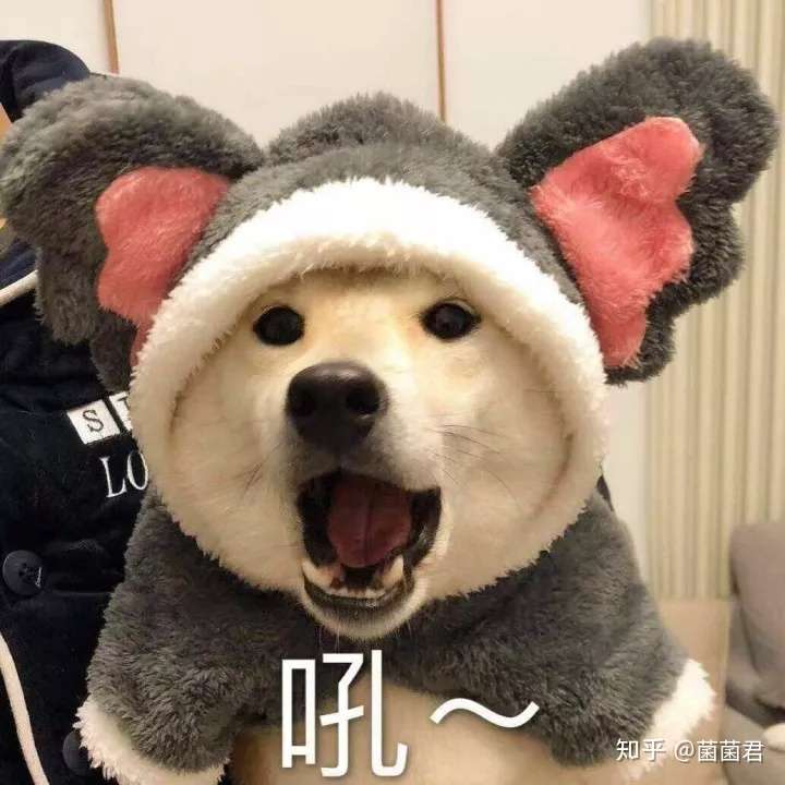 如何成为抖音好物推荐官抖音带货指南小白新店超实用
