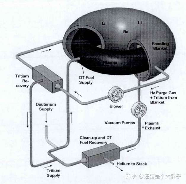 托卡马克装置核燃料放在哪里?