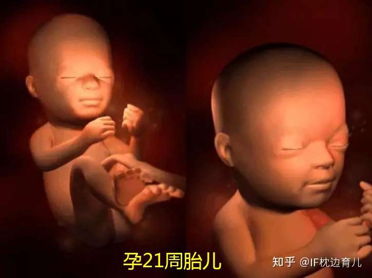 孕21周身体会出现三种不适 注意事项了解下 顺利度过孕中期 知乎