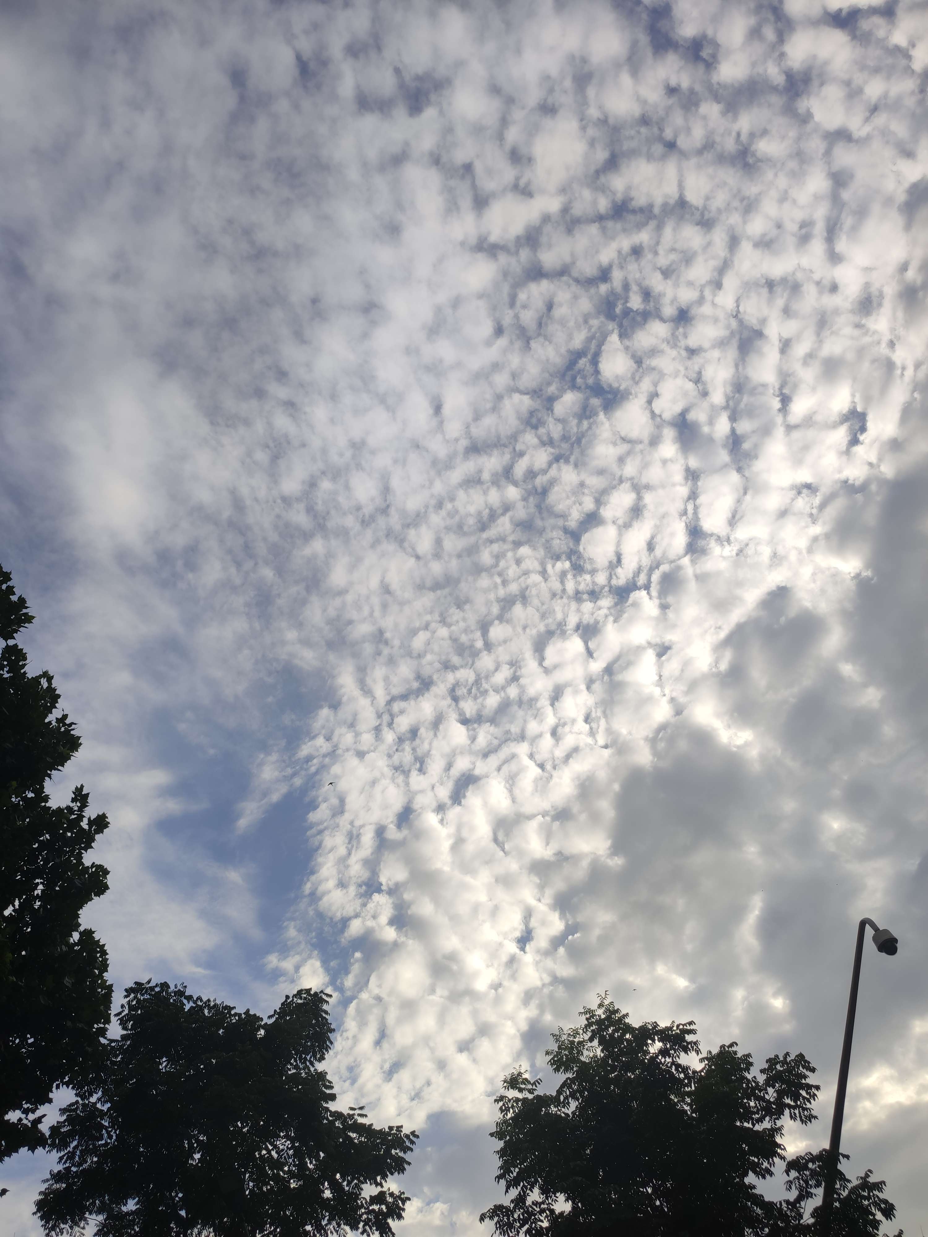 取名字好难 的想法: 多云 | #天空# #出门过夏天# 多云,最近… - 知乎