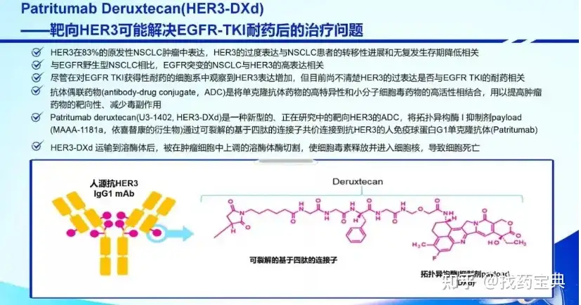 奥希替尼耐药不再可怕！U3-1402治疗三代耐药获FDA突破性疗法称号- 知乎